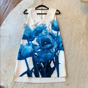 Ted Baker London: floral shift dress US size 2